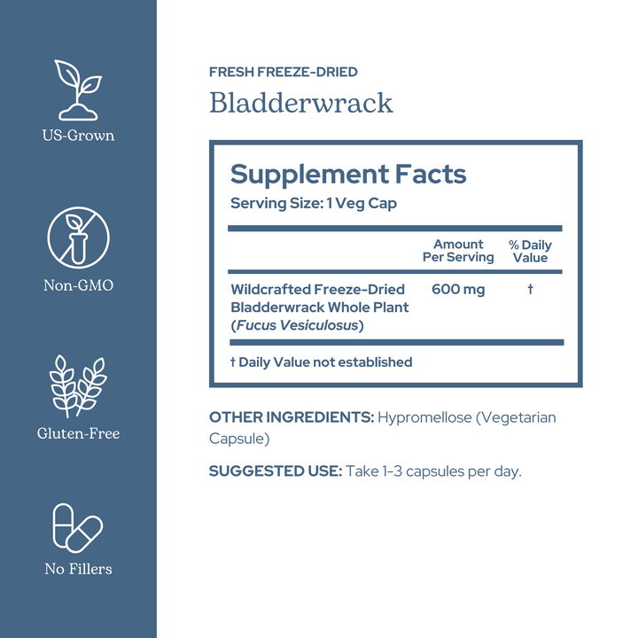Bladderwrack Capsules