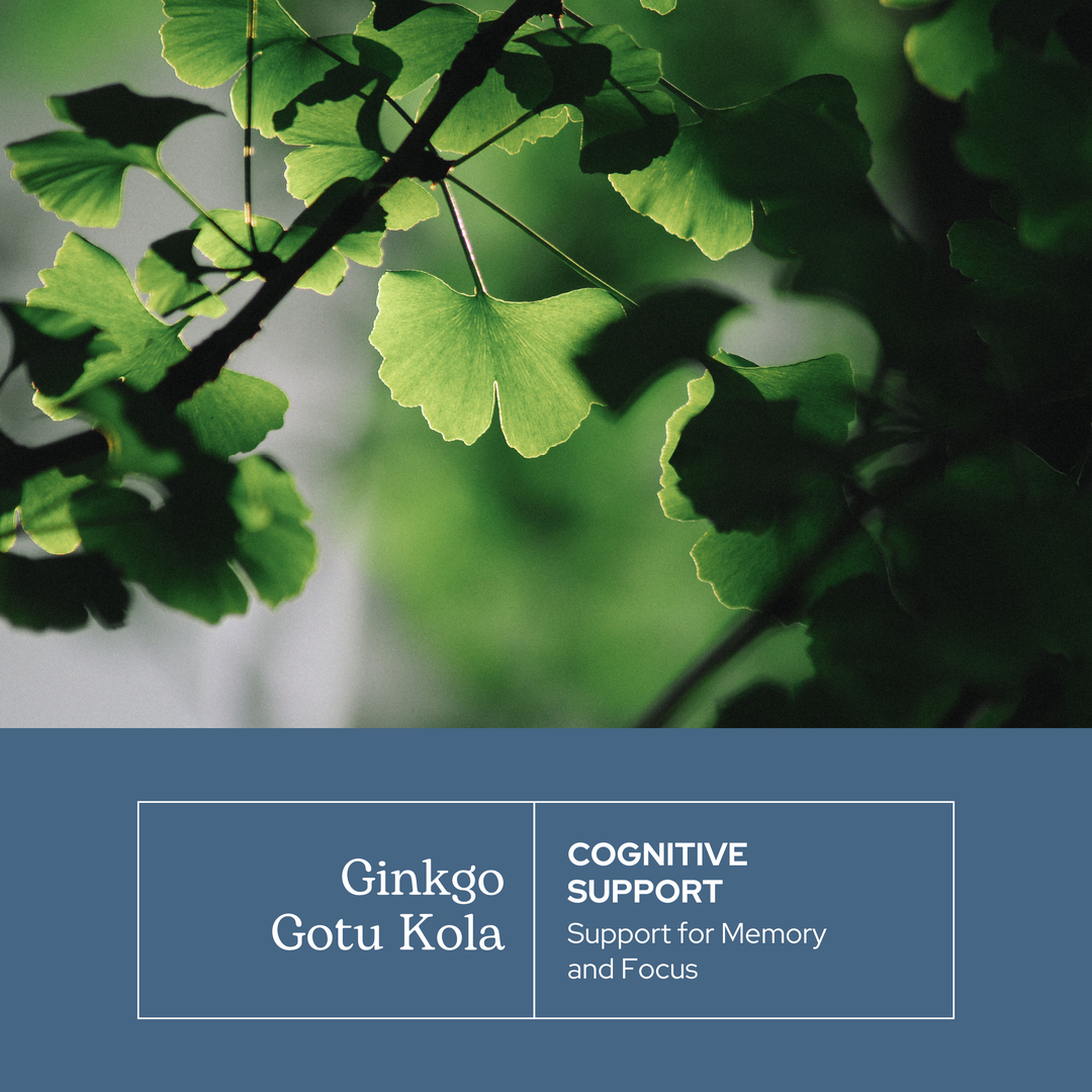 Ginkgo - Gotu Kola Capsules