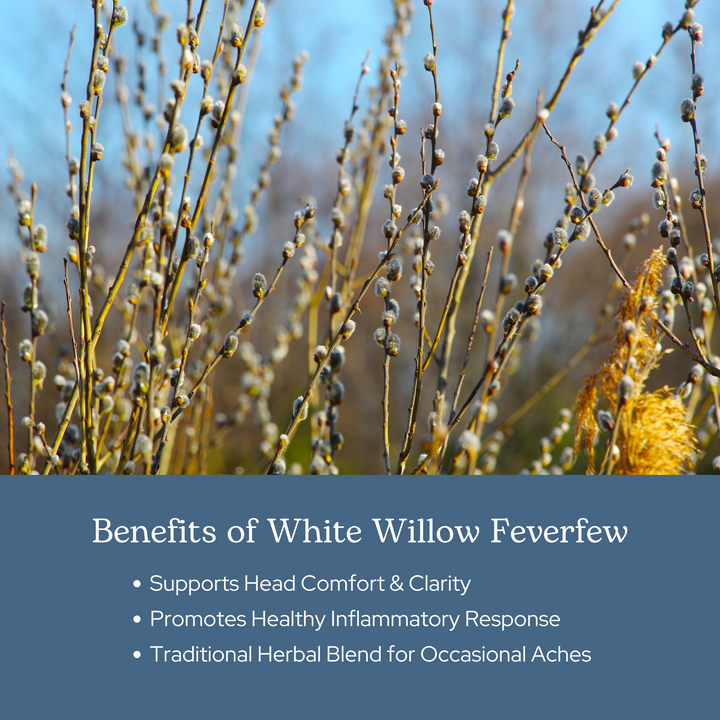 White Willow Feverfew