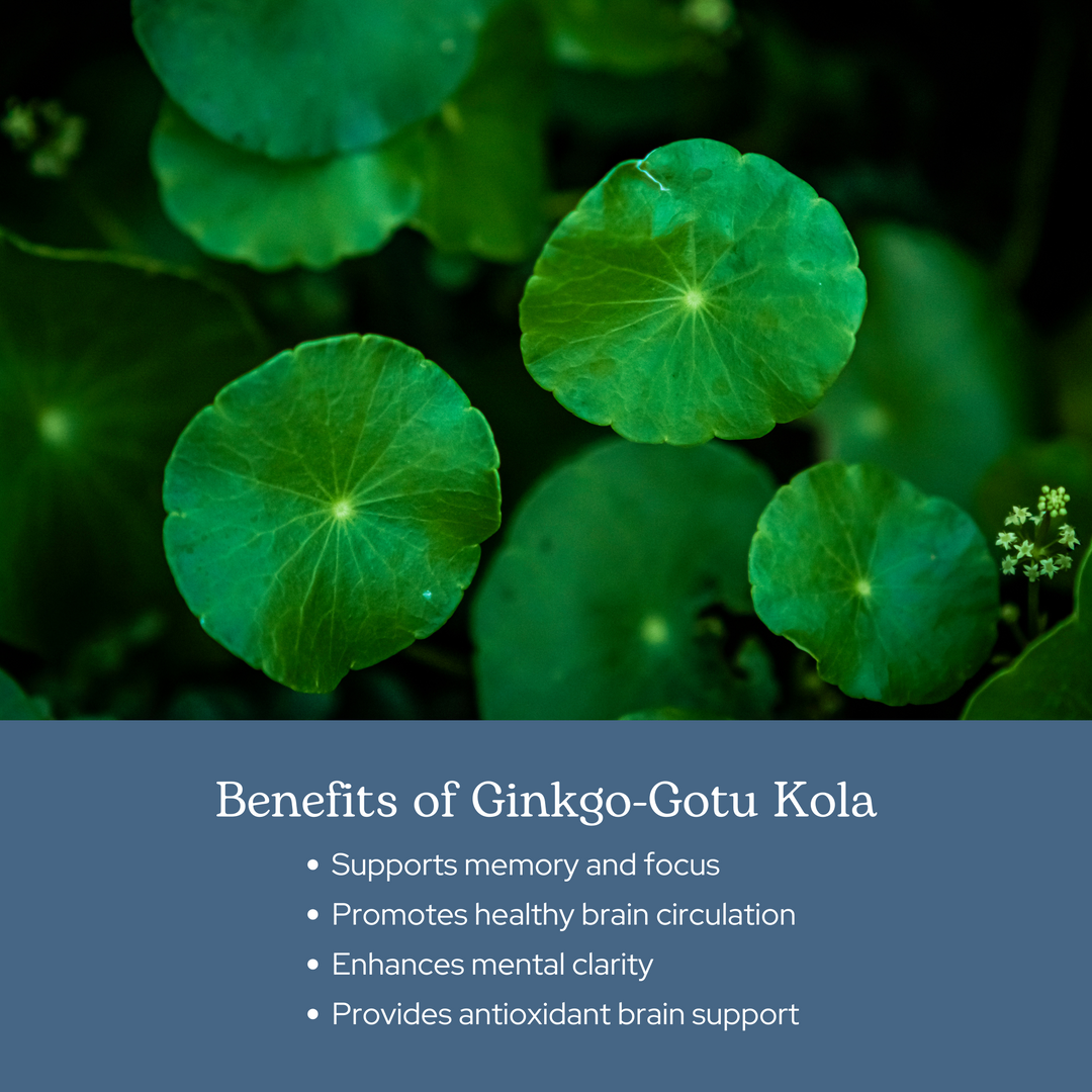 Ginkgo - Gotu Kola Capsules