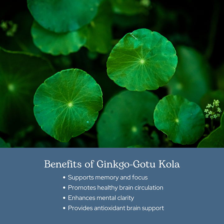 Ginkgo - Gotu Kola Capsules