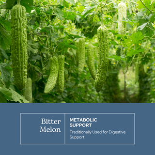 Bitter Melon Capsules