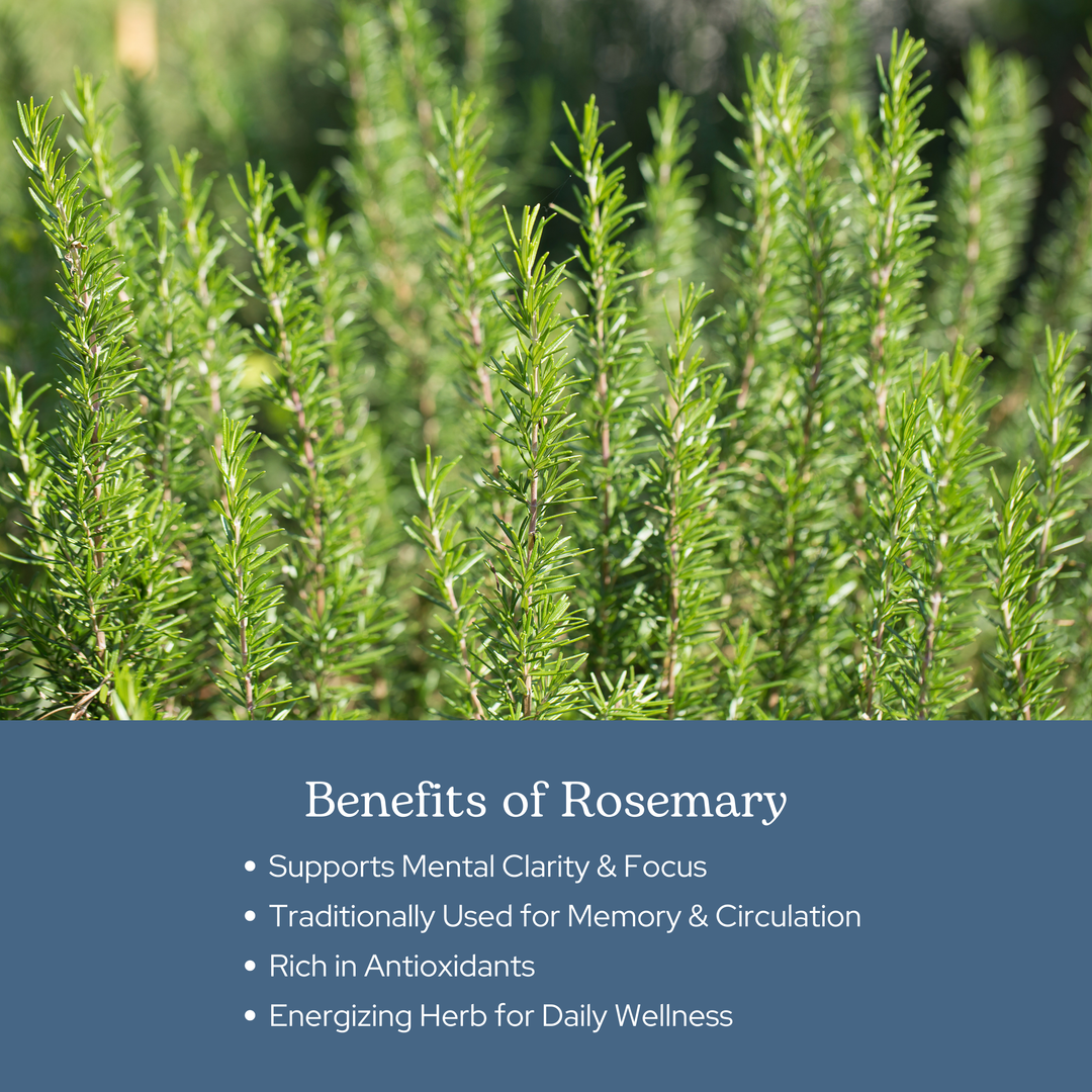 Rosemary Capsules