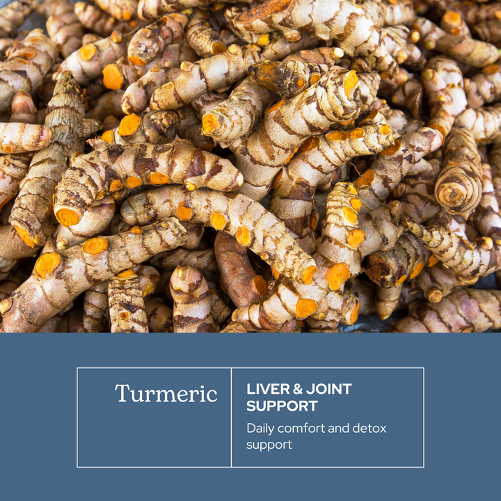 Turmeric Capsules