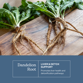 Dandelion Root Capsules