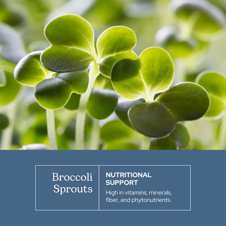Broccoli Sprouts Capsules