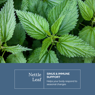Nettle Leaf Capsules