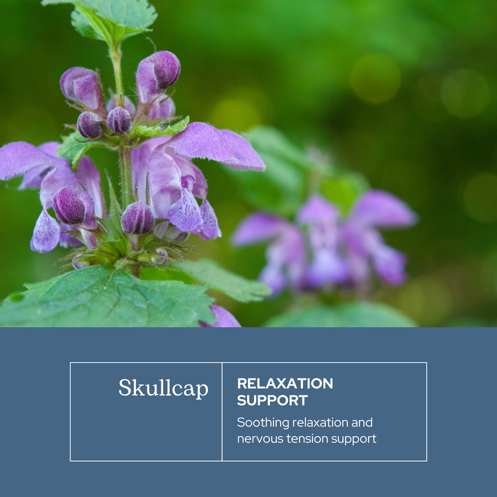 Skullcap Capsules