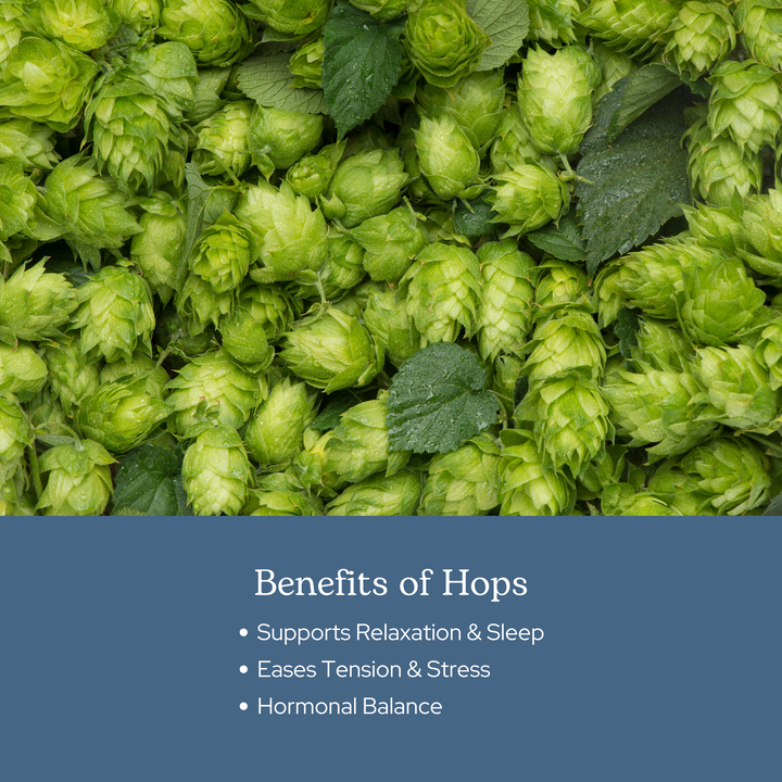 Hops Capsules