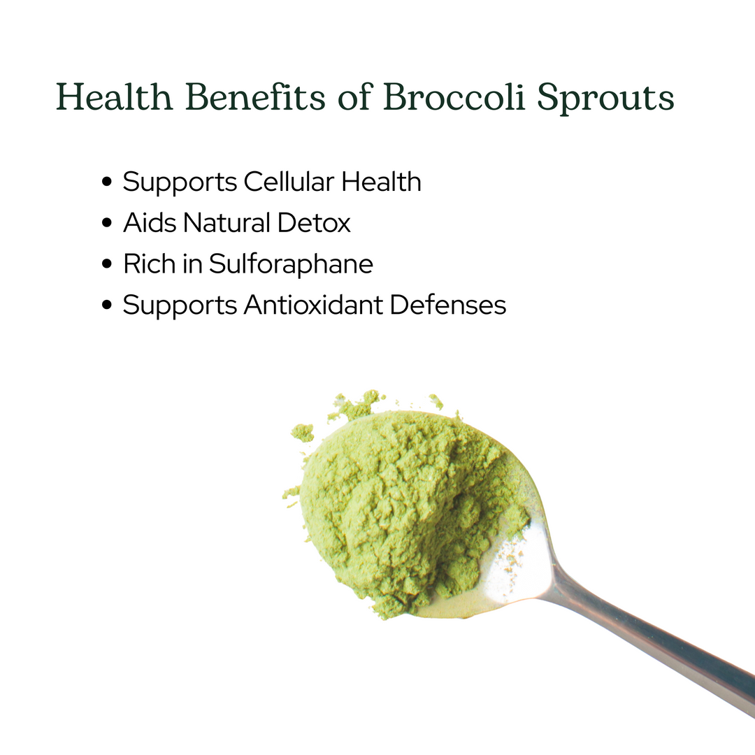 Broccoli Sprouts Powder