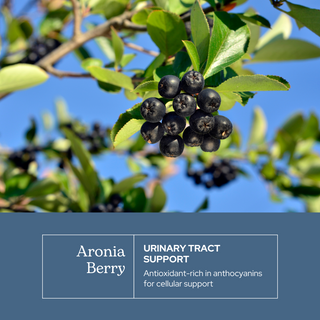 Aronia Berry Capsules