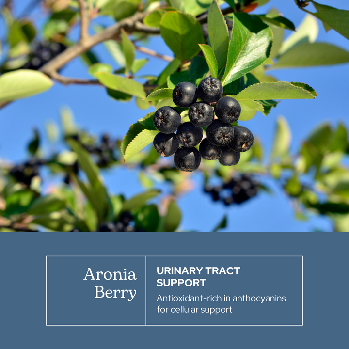 Aronia Berry Capsules