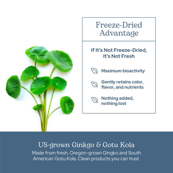 Ginkgo - Gotu Kola Capsules