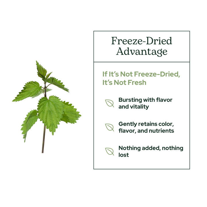 Nettle Leaf