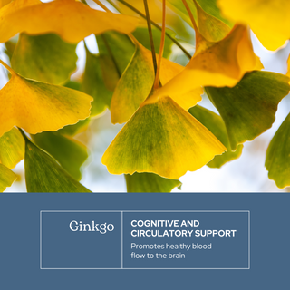 Ginkgo Capsules