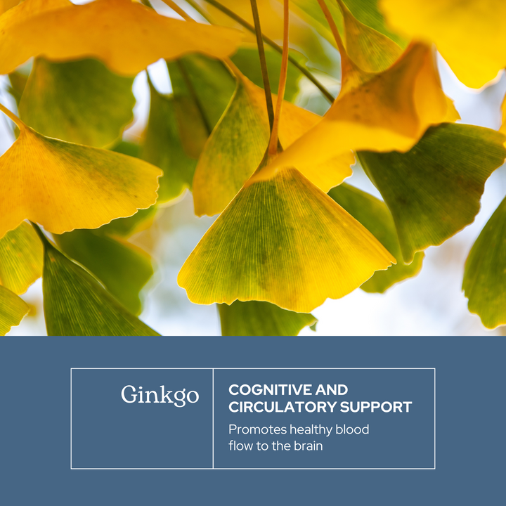 Ginkgo Capsules