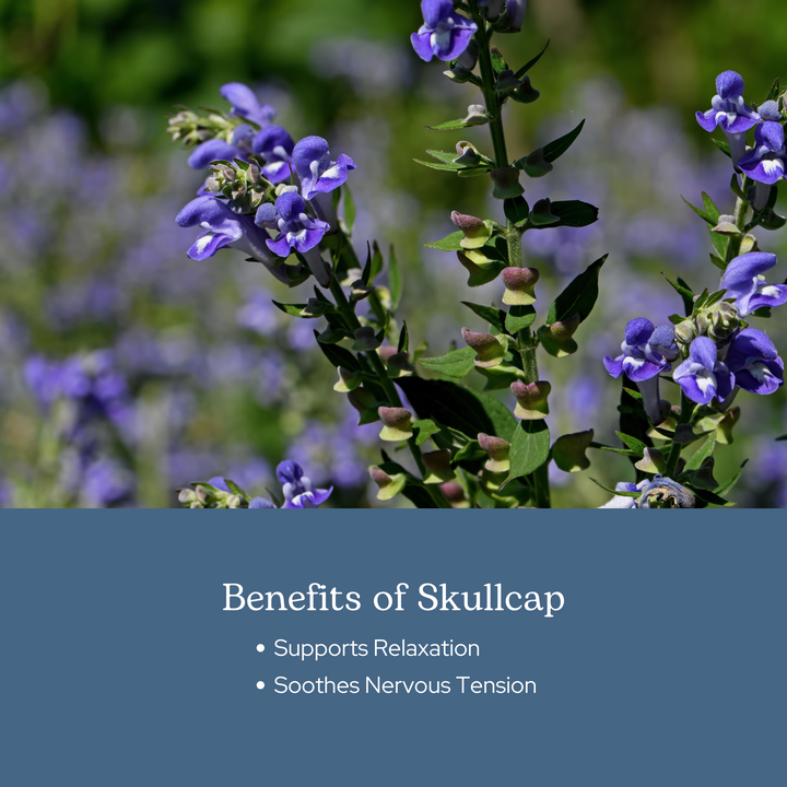 Skullcap Capsules