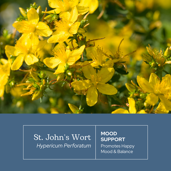 St. John's Wort Capsules