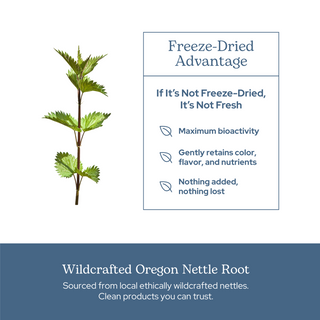 Nettle Root Capsules