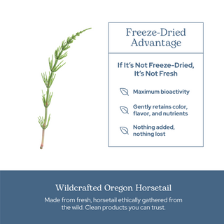 Horsetail Capsules