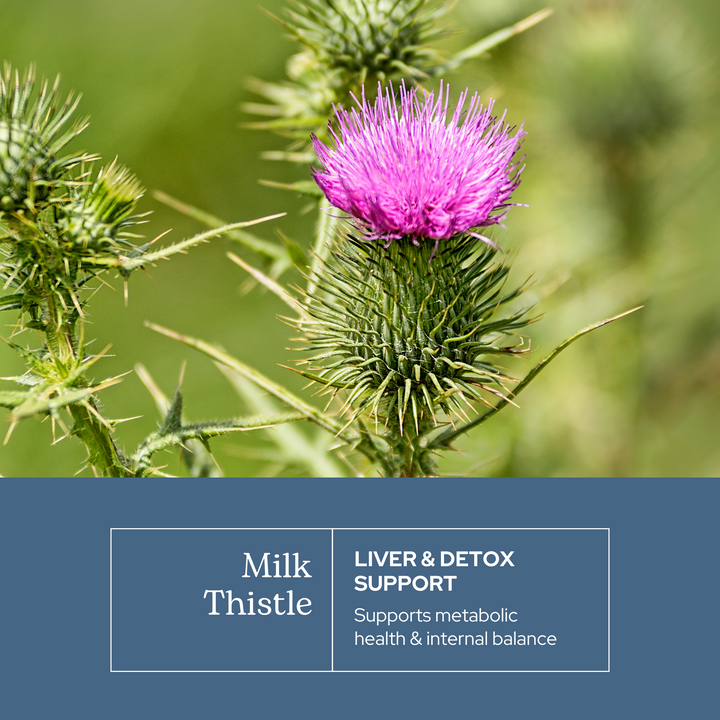 Milk Thistle Capsules