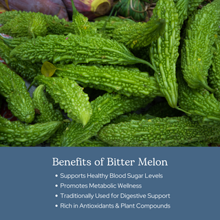 Bitter Melon Capsules