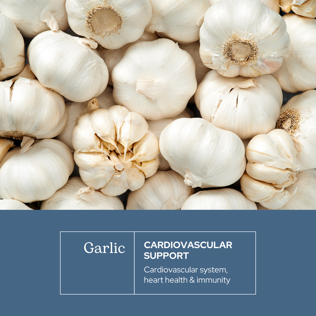 Garlic Capsules