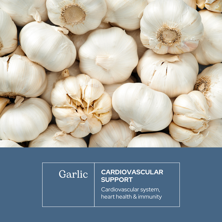 Garlic Capsules