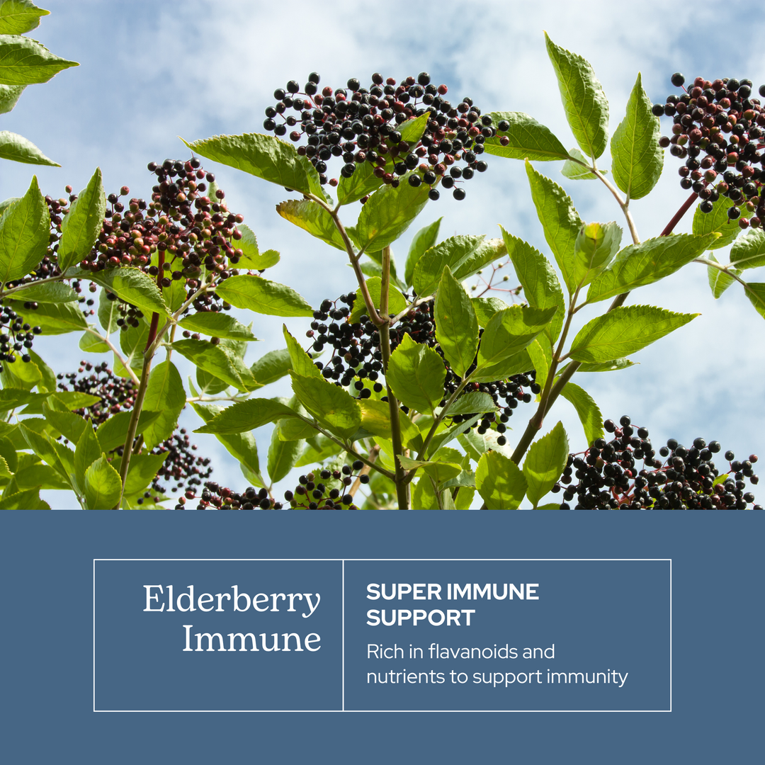 Elderberry Immune Capsules