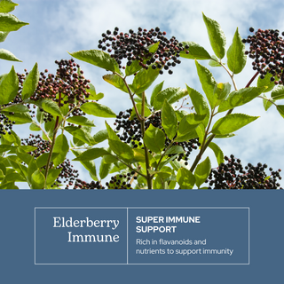 Elderberry Immune Capsules