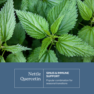 Nettle