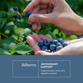 Bilberry Capsules