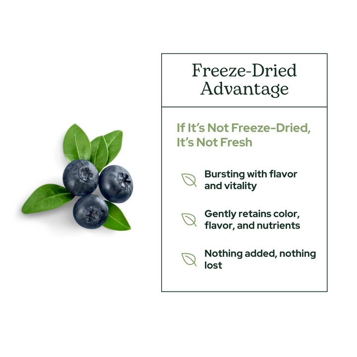 Bilberry
