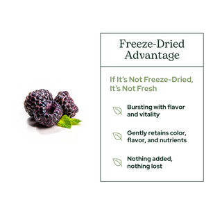 Black Raspberry