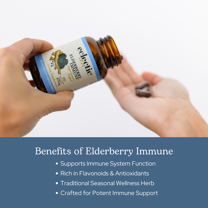 Elderberry Immune Capsules