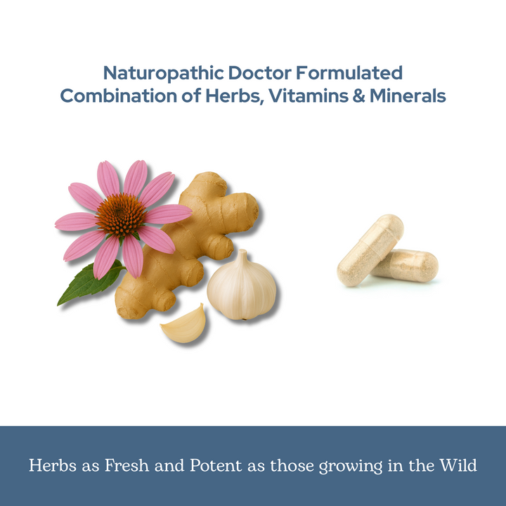 Vitabiotic Bundle