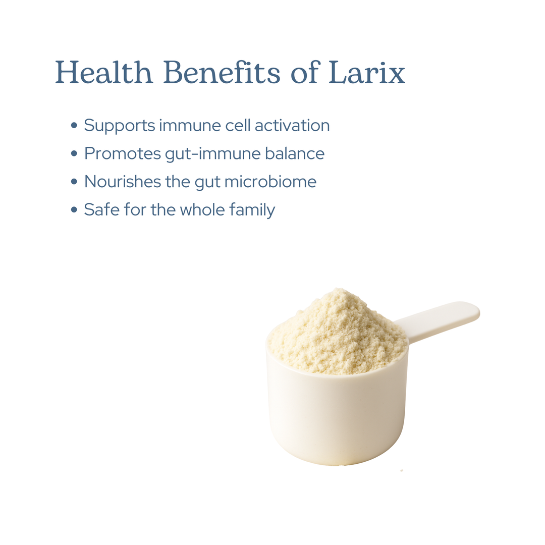 Larix Powder