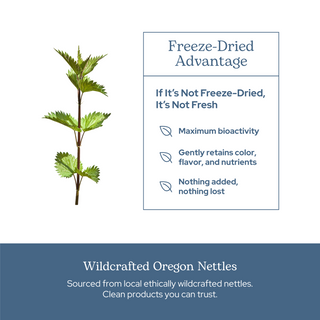 Nettle Leaf Capsules