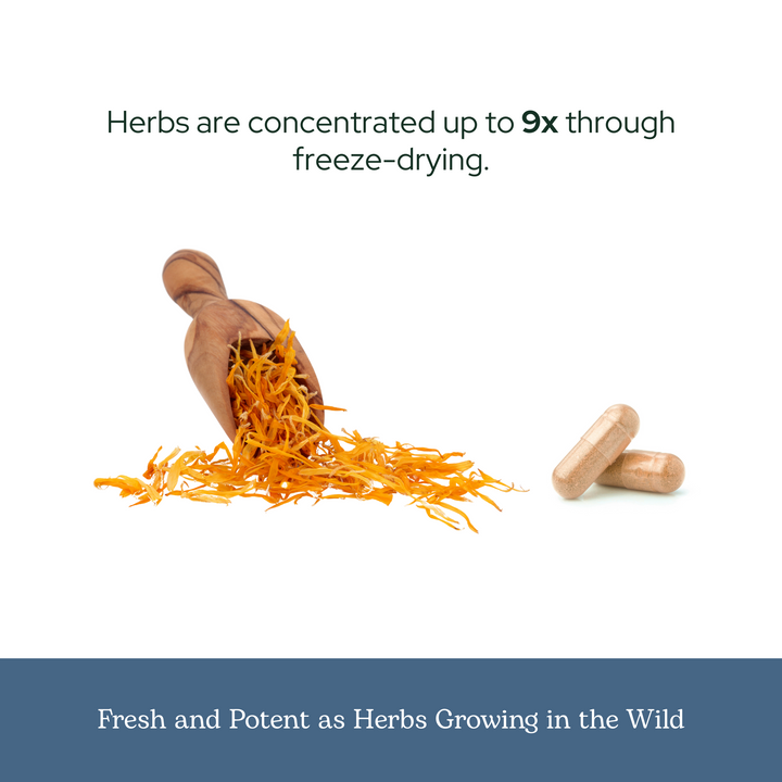 Calendula Capsules