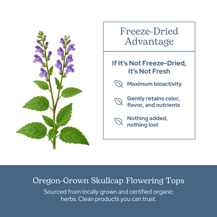 Skullcap Capsules