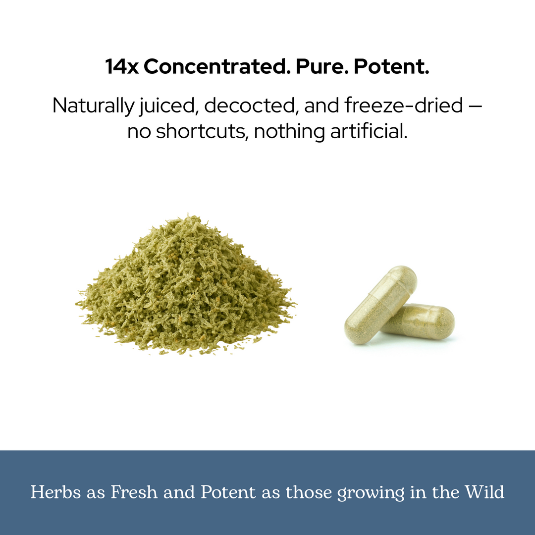 ParaFight Capsules
