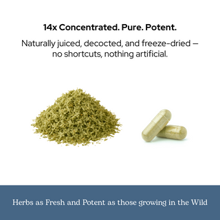 ParaFight Capsules