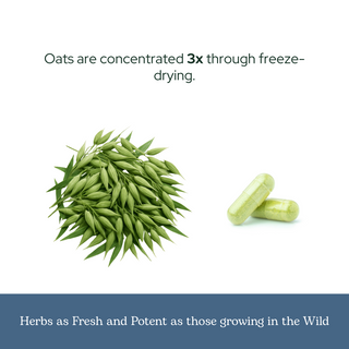 Oats (Green Milky) Capsules
