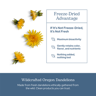 Dandelion Leaf Capsules
