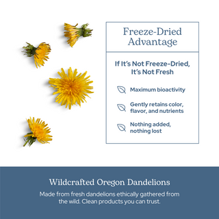 Dandelion Root Capsules