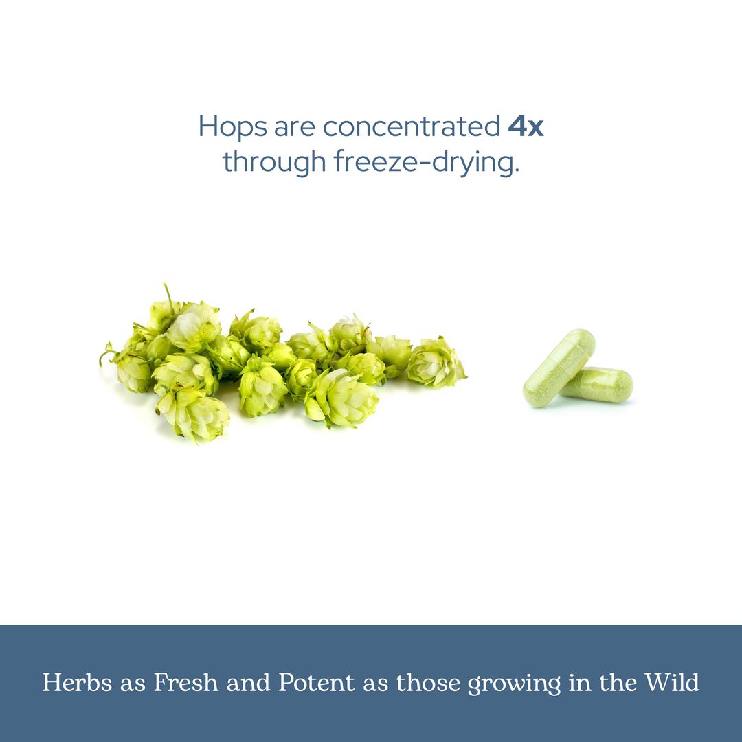 Hops Capsules