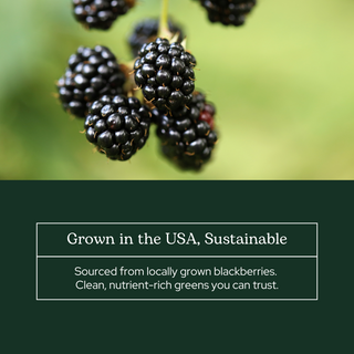 Blackberry
