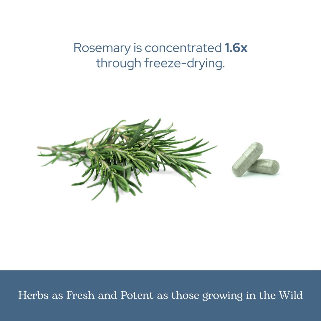 Rosemary Capsules