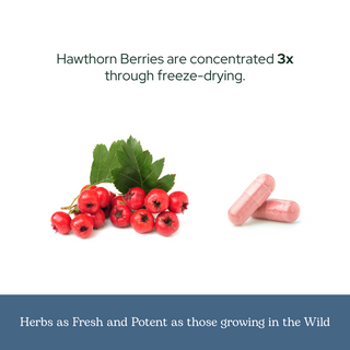 Hawthorn Capsules