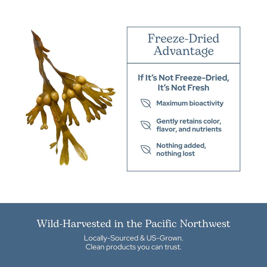 Bladderwrack Capsules